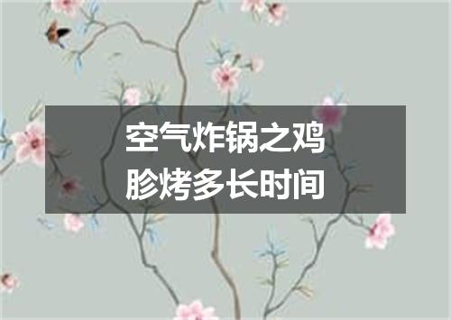 空气炸锅之鸡胗烤多长时间