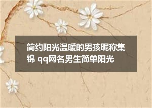 简约阳光温暖的男孩昵称集锦 qq网名男生简单阳光