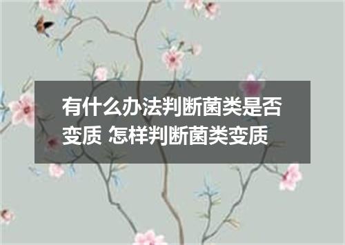 有什么办法判断菌类是否变质 怎样判断菌类变质