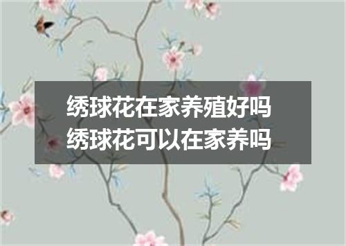 绣球花在家养殖好吗 绣球花可以在家养吗