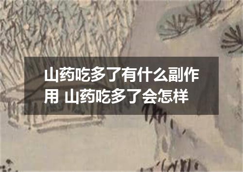 山药吃多了有什么副作用 山药吃多了会怎样