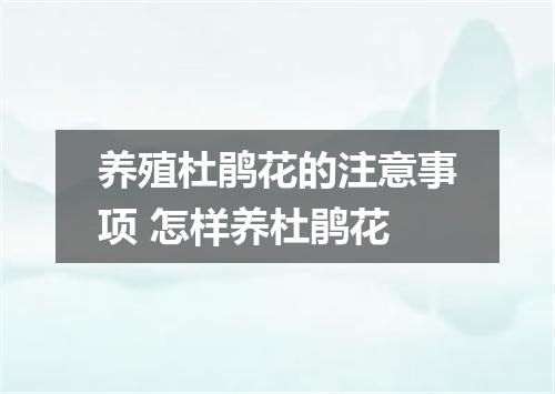 养殖杜鹃花的注意事项 怎样养杜鹃花