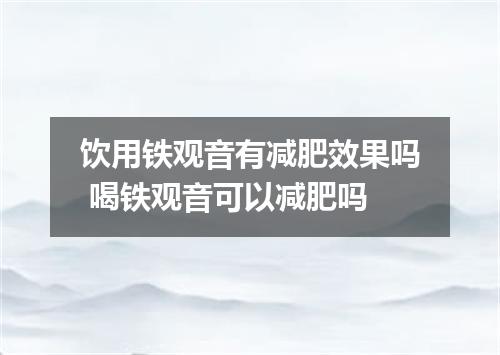饮用铁观音有减肥效果吗 喝铁观音可以减肥吗