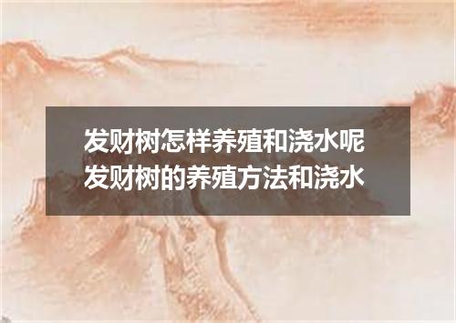 发财树怎样养殖和浇水呢 发财树的养殖方法和浇水