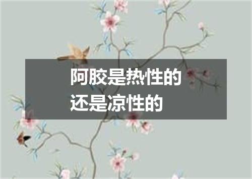 阿胶是热性的还是凉性的