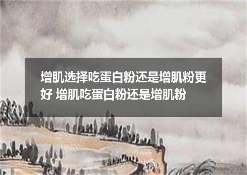 增肌选择吃蛋白粉还是增肌粉更好 增肌吃蛋白粉还是增肌粉