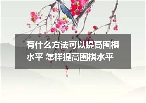 有什么方法可以提高围棋水平 怎样提高围棋水平