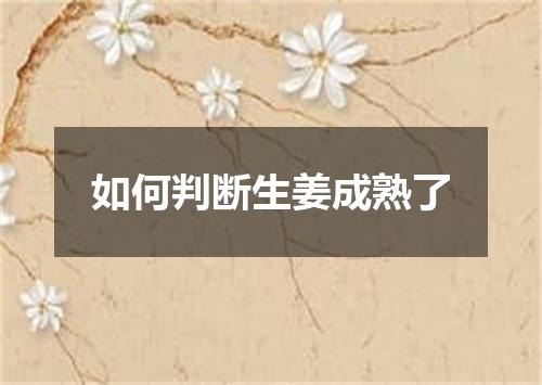 如何判断生姜成熟了