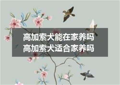 高加索犬能在家养吗 高加索犬适合家养吗