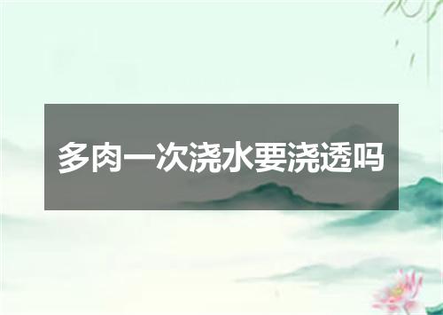 多肉一次浇水要浇透吗