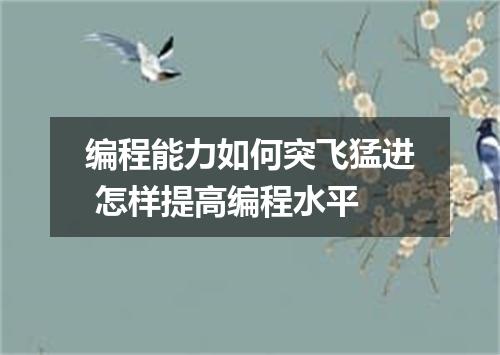 编程能力如何突飞猛进 怎样提高编程水平