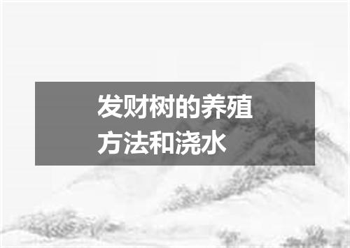 发财树的养殖方法和浇水