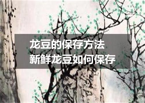 龙豆的保存方法 新鲜龙豆如何保存