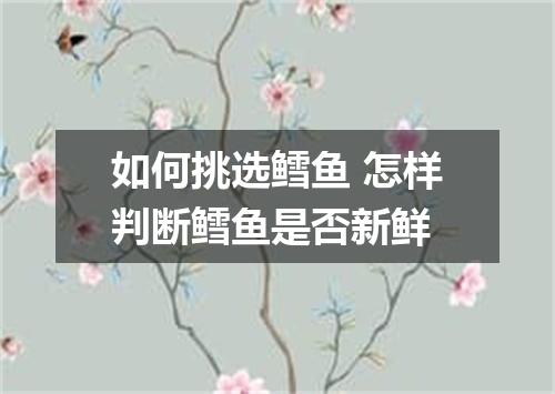 如何挑选鳕鱼 怎样判断鳕鱼是否新鲜