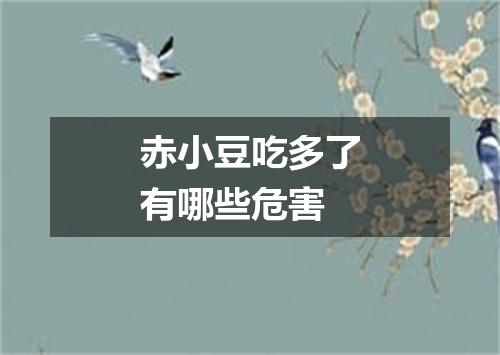 赤小豆吃多了有哪些危害