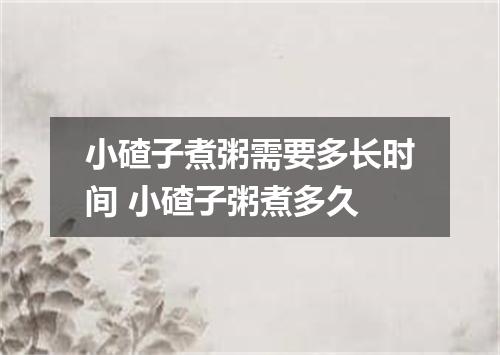小碴子煮粥需要多长时间 小碴子粥煮多久