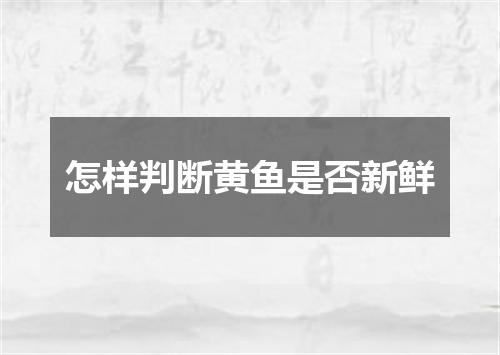 怎样判断黄鱼是否新鲜