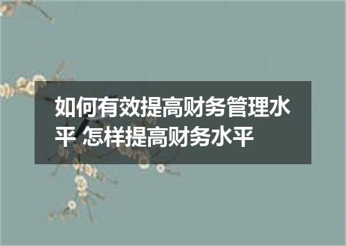 如何有效提高财务管理水平 怎样提高财务水平