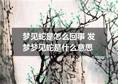 梦见蛇是怎么回事 发梦梦见蛇是什么意思