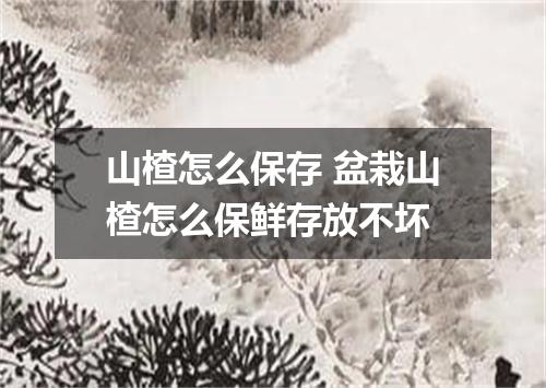 山楂怎么保存 盆栽山楂怎么保鲜存放不坏