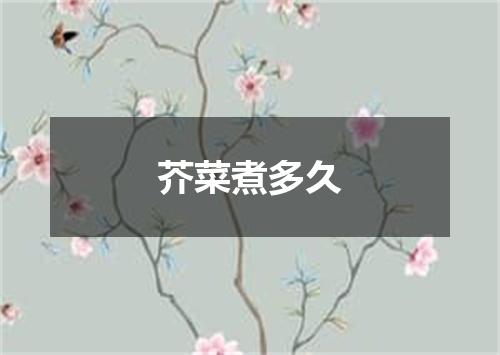 芥菜煮多久