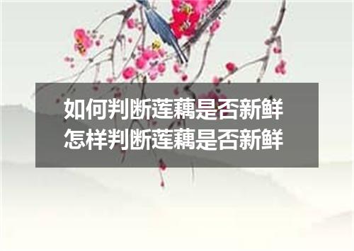 如何判断莲藕是否新鲜 怎样判断莲藕是否新鲜