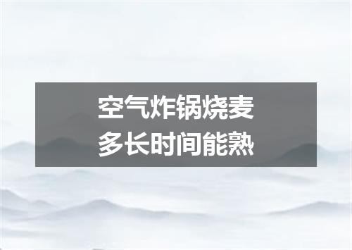 空气炸锅烧麦多长时间能熟