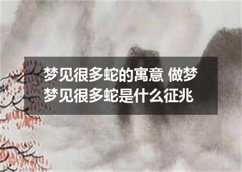 梦见很多蛇的寓意 做梦梦见很多蛇是什么征兆