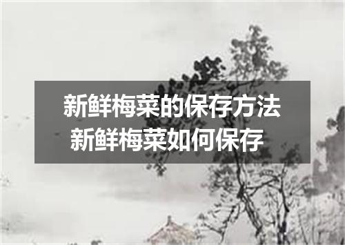 新鲜梅菜的保存方法 新鲜梅菜如何保存