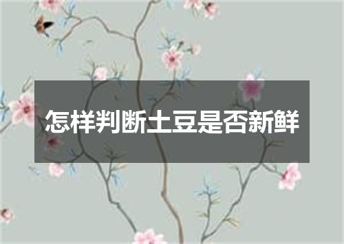 怎样判断土豆是否新鲜