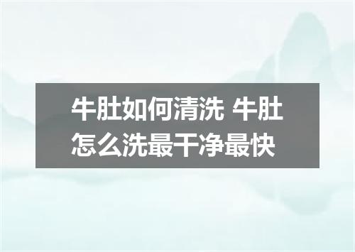 牛肚如何清洗 牛肚怎么洗最干净最快