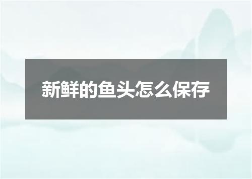 新鲜的鱼头怎么保存