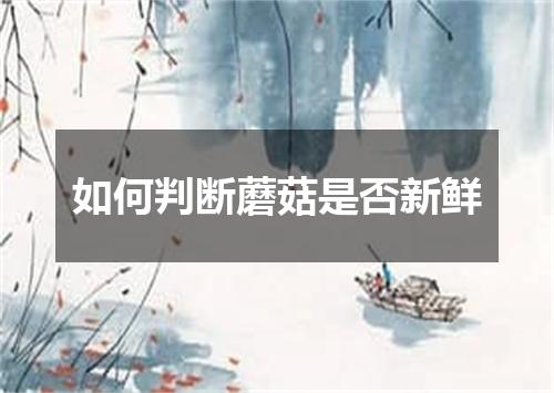 如何判断蘑菇是否新鲜