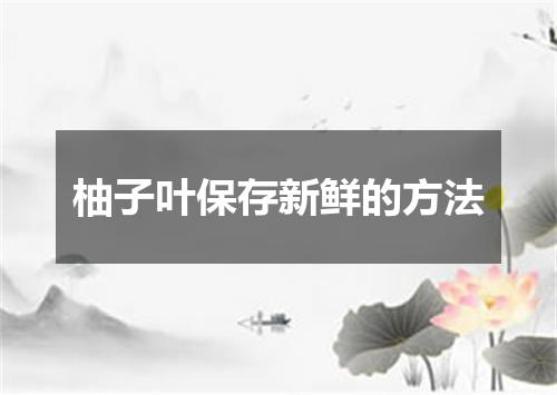 柚子叶保存新鲜的方法