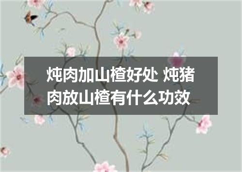 炖肉加山楂好处 炖猪肉放山楂有什么功效