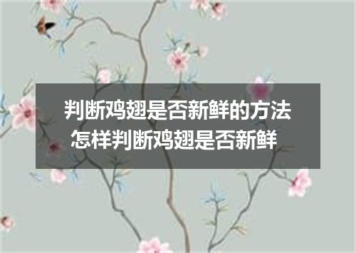 判断鸡翅是否新鲜的方法 怎样判断鸡翅是否新鲜