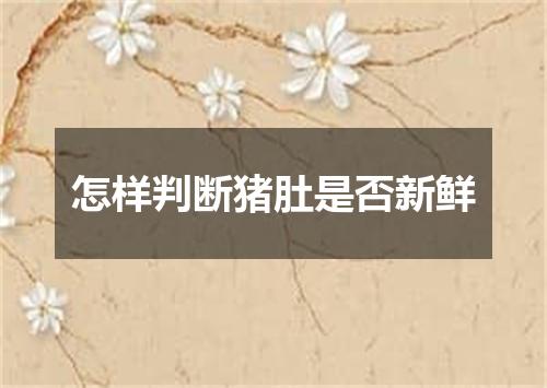 怎样判断猪肚是否新鲜