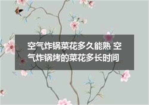 空气炸锅菜花多久能熟 空气炸锅烤的菜花多长时间