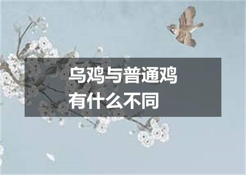 乌鸡与普通鸡有什么不同