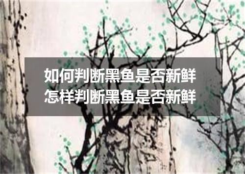 如何判断黑鱼是否新鲜 怎样判断黑鱼是否新鲜