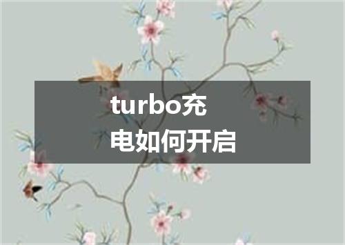 turbo充电如何开启