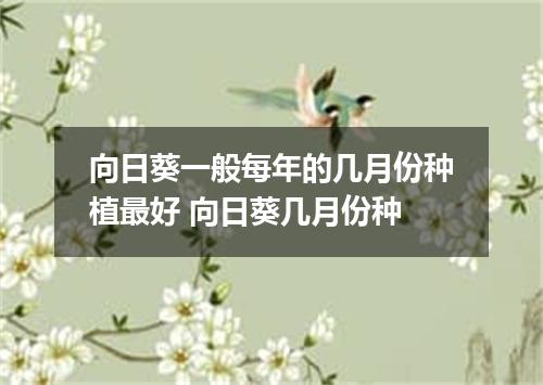 向日葵一般每年的几月份种植最好 向日葵几月份种