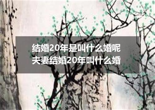 结婚20年是叫什么婚呢 夫妻结婚20年叫什么婚