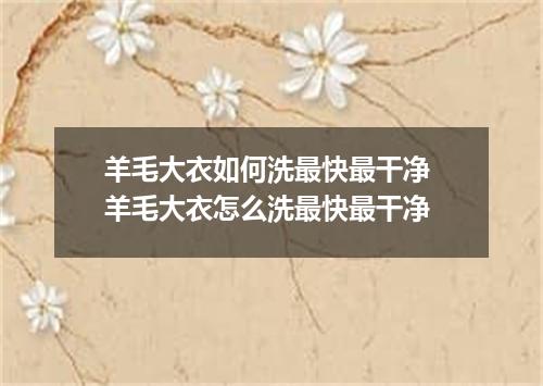 羊毛大衣如何洗最快最干净 羊毛大衣怎么洗最快最干净