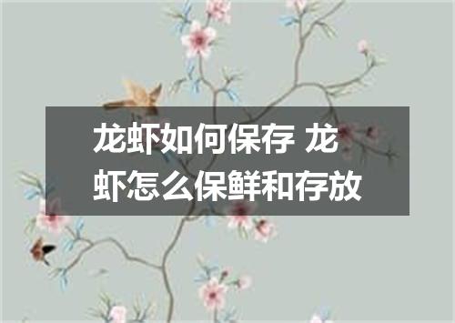 龙虾如何保存 龙虾怎么保鲜和存放