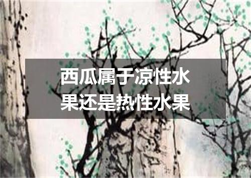西瓜属于凉性水果还是热性水果