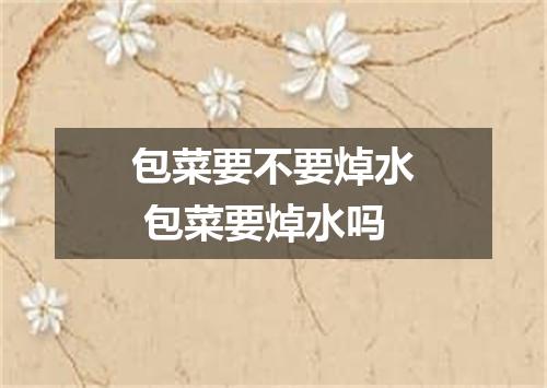 包菜要不要焯水 包菜要焯水吗