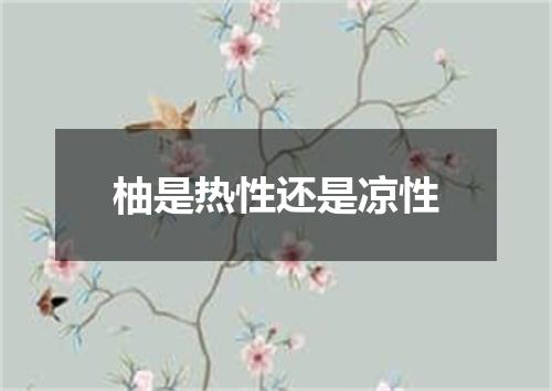 柚是热性还是凉性