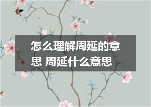 怎么理解周延的意思 周延什么意思