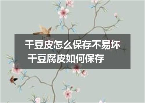 干豆皮怎么保存不易坏 干豆腐皮如何保存